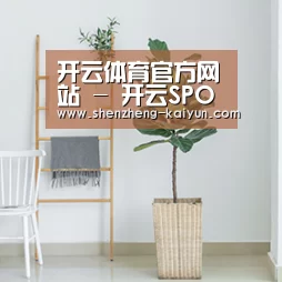 产品名称六(图1)